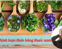 Chữa bệnh loạn thần bằng thuốc nam