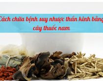 chữa bệnh suy nhược thần kinh bằng cây thuốc nam